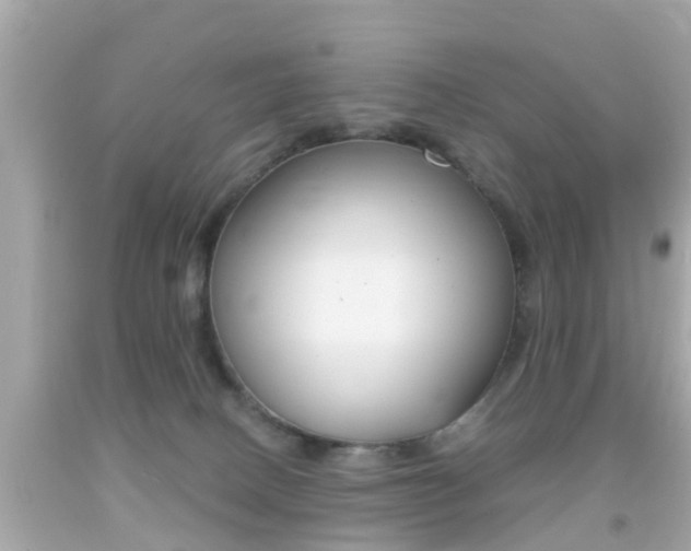 X0000092040082200709121013