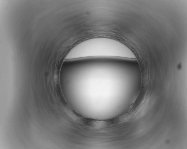 X0000092040085200709121013