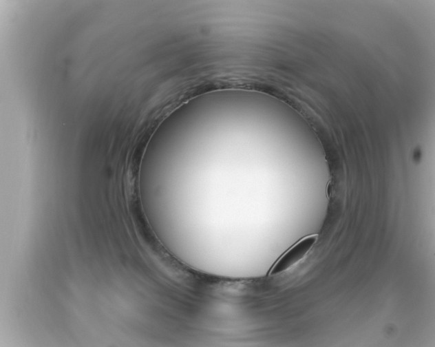 X0000092040086200709121013