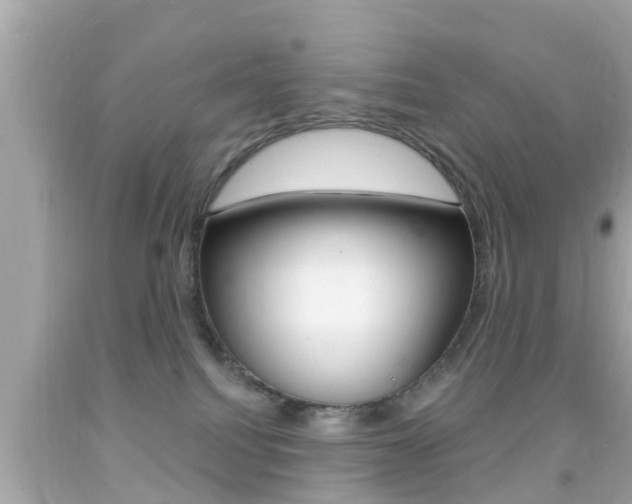 X0000092040088200709121013