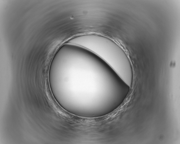 X0000092040097200709121013