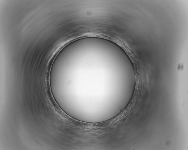 X0000092040098200709121013