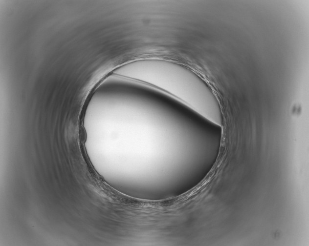 X0000092040099200709121013