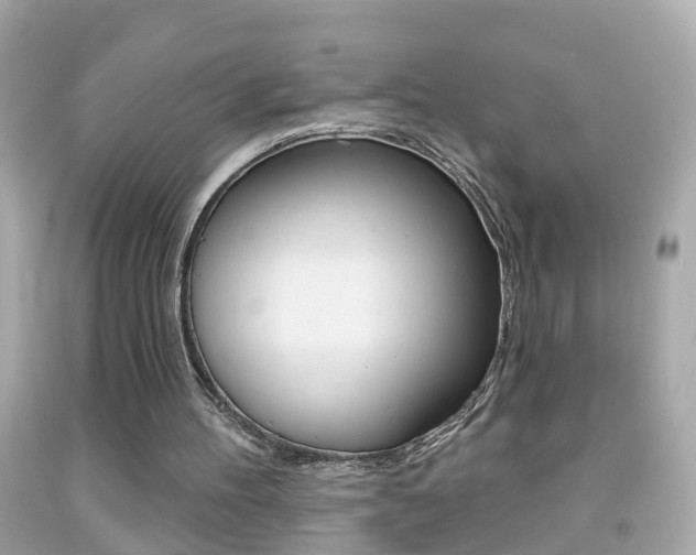 X0000092040100200709121013