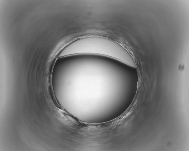 X0000092040101200709121013