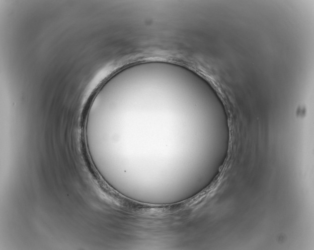 X0000092040102200709121013