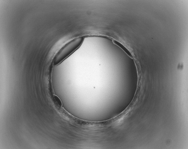 X0000092040103200709121013