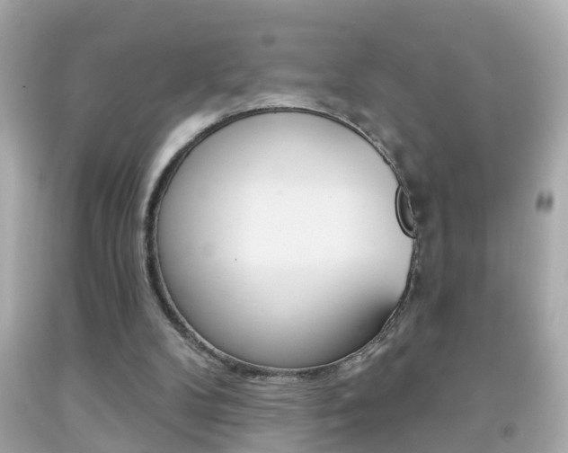 X0000092040104200709121013