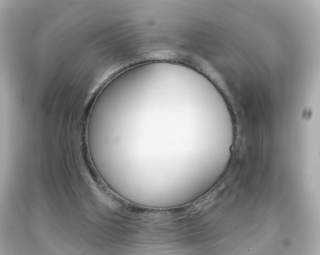 X0000092040106200709121013