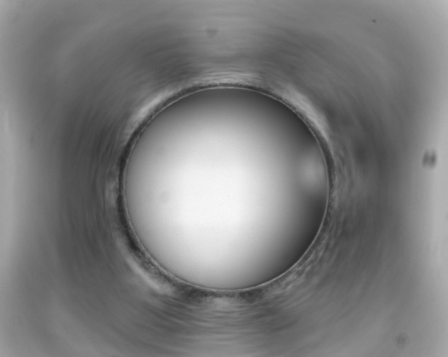 X0000092040107200709121013