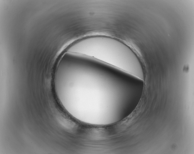 X0000092040108200709121013