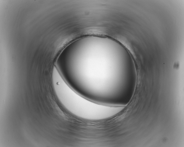 X0000092040109200709121013