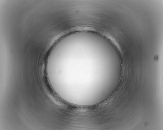 X0000092040110200709121013