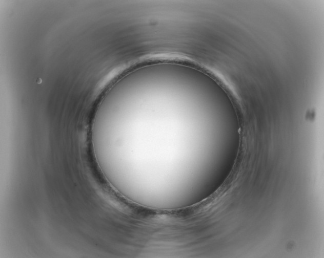 X0000092040111200709121013