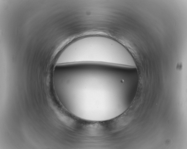 X0000092040112200709121013