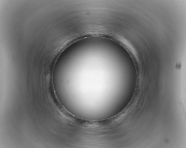 X0000092040113200709121013