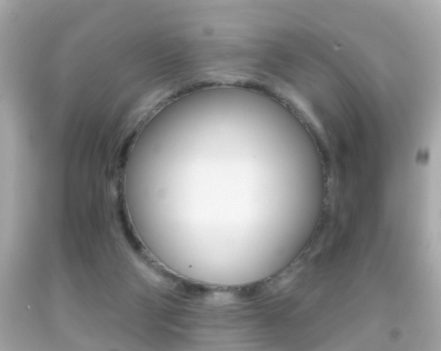 X0000092040114200709121013