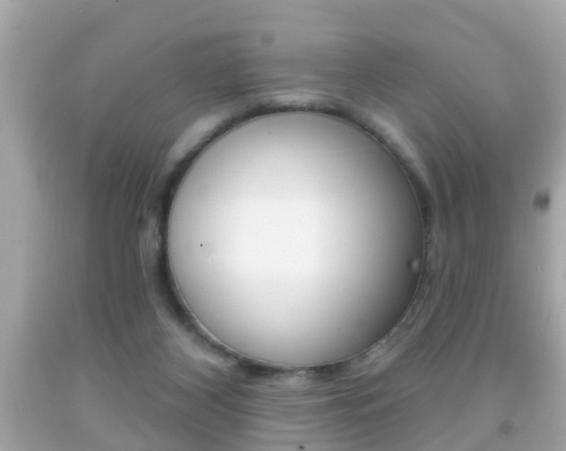 X0000092040116200709121013