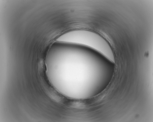 X0000092040117200709121013