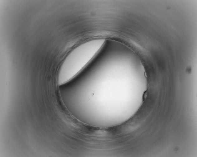 X0000092040119200709121013
