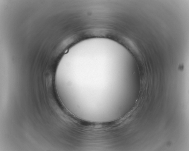 X0000092040120200709121013