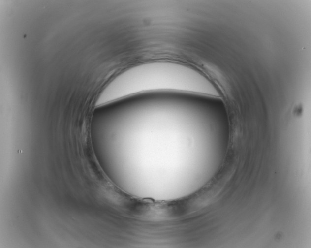X0000092040121200709121013