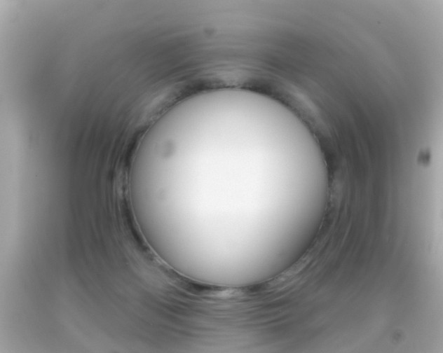 X0000092040122200709121013