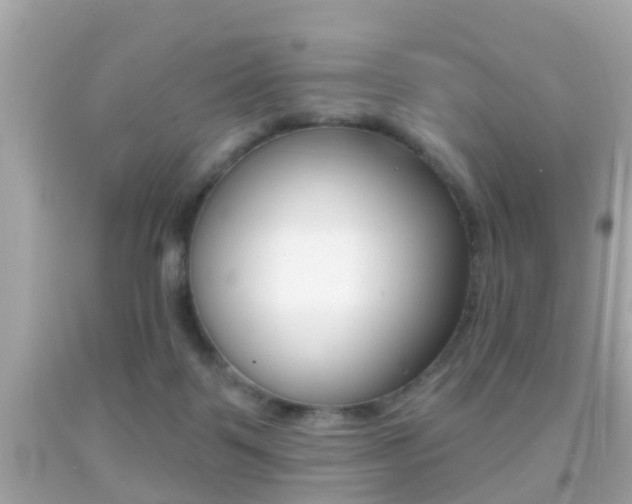 X0000092040123200709121013