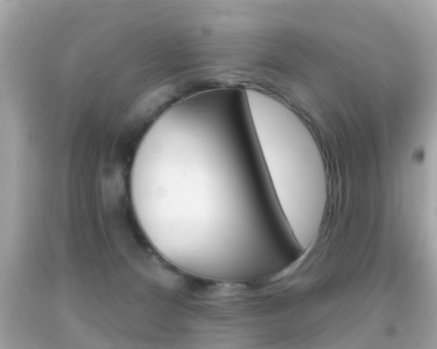 X0000092040128200709121013