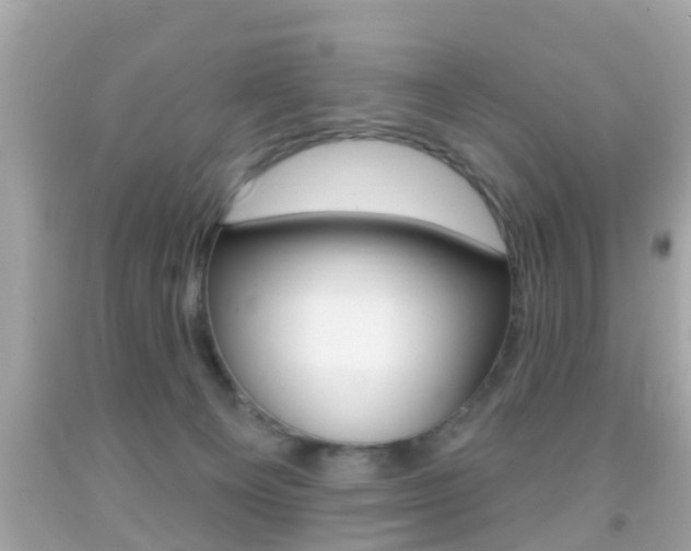 X0000092040129200709121013