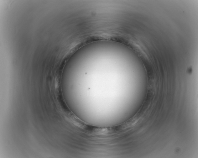 X0000092040131200709121013
