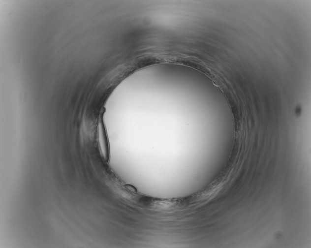 X0000092040139200709121012