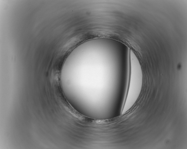 X0000092040141200709121012