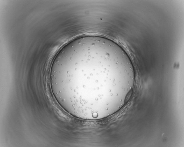 X0000092040145200709121012