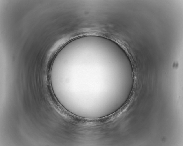 X0000092040149200709121012