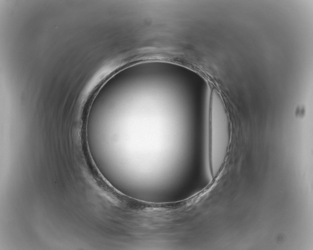 X0000092040150200709121012