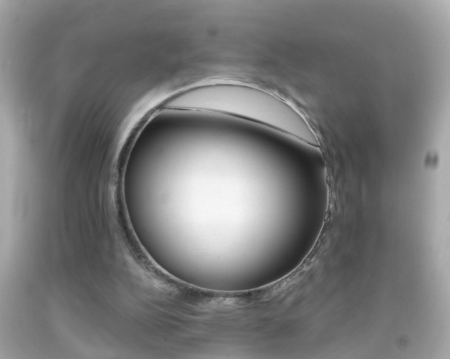 X0000092040152200709121012