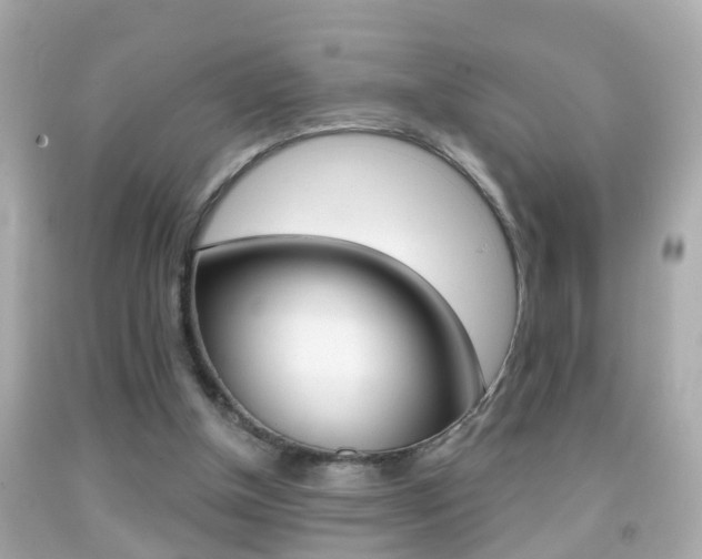 X0000092040154200709121012