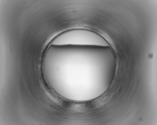 X0000092040155200709121012