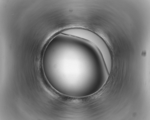 X0000092040156200709121012