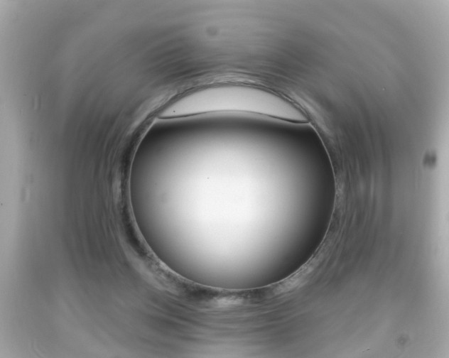 X0000092040158200709121012