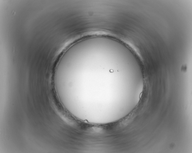 X0000092040159200709121012
