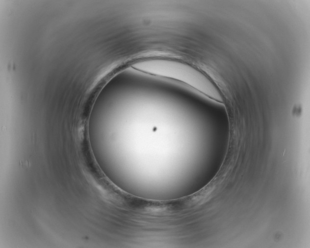 X0000092040160200709121012