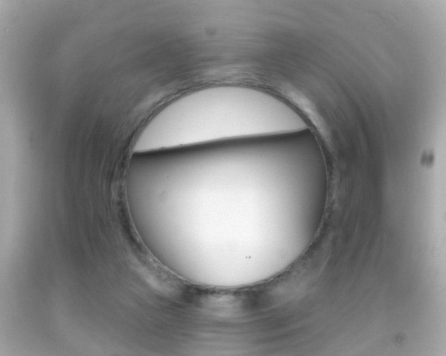 X0000092040161200709121012