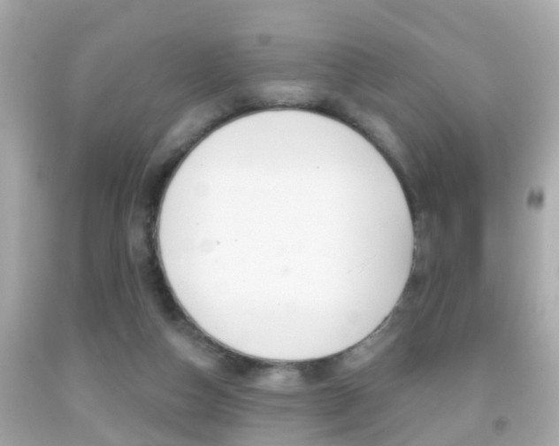X0000092040162200709121012