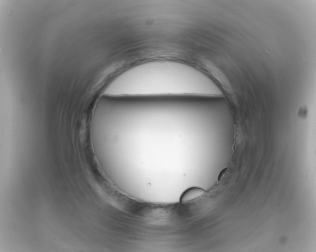 X0000092040163200709121012