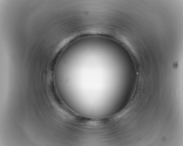 X0000092040164200709121012