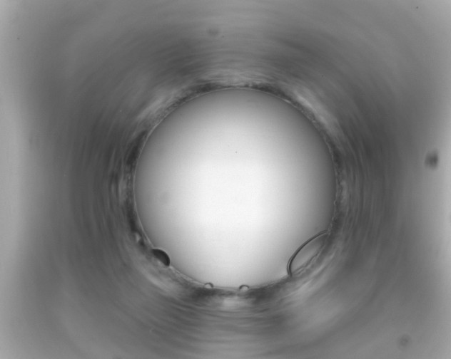 X0000092040165200709121012