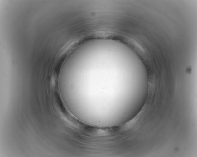 X0000092040166200709121012