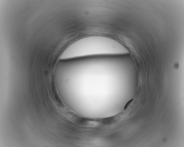 X0000092040167200709121012